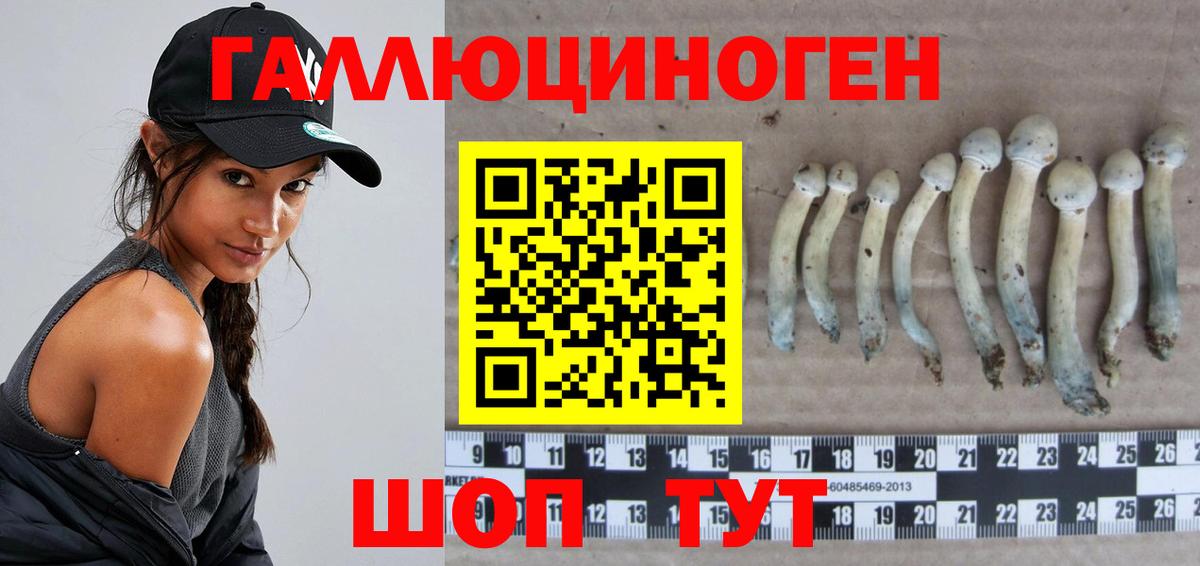 Псилоцибиновые грибы мухоморы Всеволожск